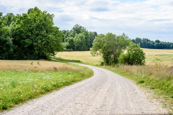 Stone Driveway Repair in Traverse City