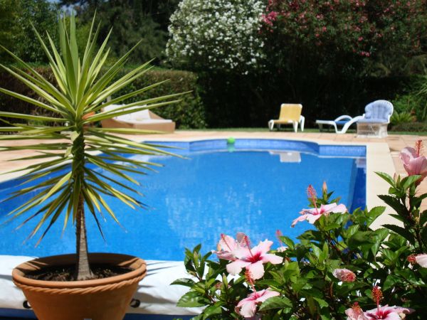 Cost of Pool Terrace Renovation in Traverse City